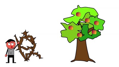 The Tree and its Fruit (BibleCartoon.net)