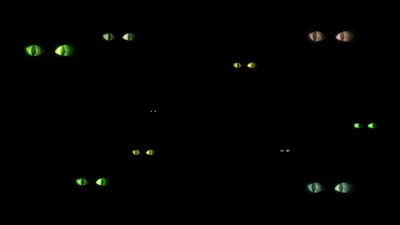 Blinded Eyes