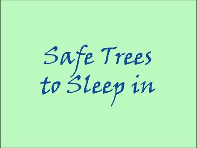 Safe Trees to Sleep in