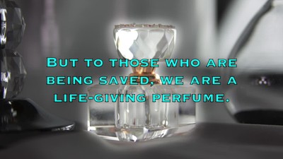 WOW!! Your Life is a Life Giving Sweet Perfume!!