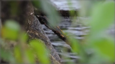 Healing Waters: Christian Guided Meditation