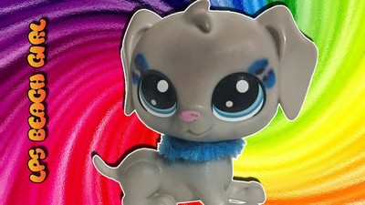 LPS Beachgirl Welcome to the Channel