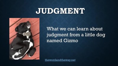 How to Judge Your Neighbor