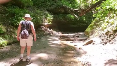 Perseverance Over Danger