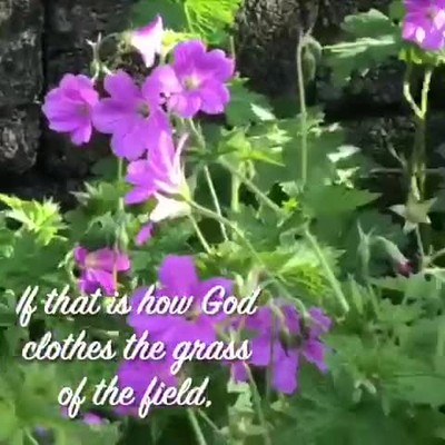 Cast your cares upon Jesus