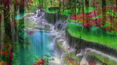 God’s Creation
