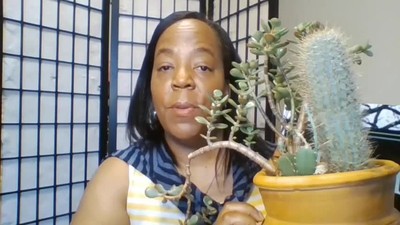 Ruth chapter 2 - Growing in Grace and a Philly love story (2 of 8)
