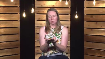 tHOLI Shoes Full Testimony