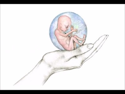 Life in Your Hand