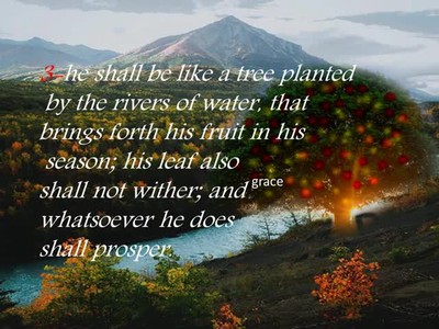 PSALM 1
