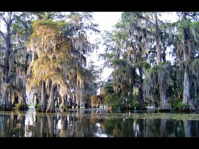 Lake Martin