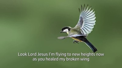 BROKEN WINGS FLY AGAIN By Rick Gunn , Vocals By Arleon Music Singers