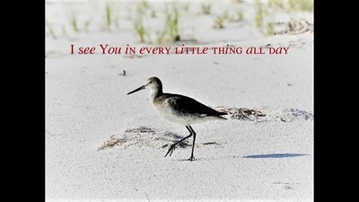 Everything ~ Lyric Video & Photos by Barb Syverson