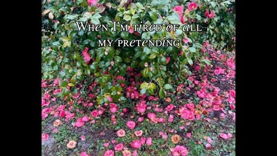 Hold on to Me ~ Lyric & Photo Video by Barb Syverson