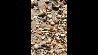 Oceans (Where Feet may Fail) ~ Lyric Video & Photos by Barb Syverson