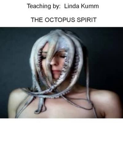 The Octopus spirit - By Linda Kumm