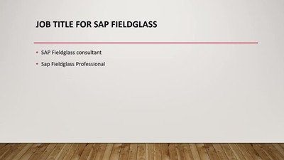 SAP Fieldglass Online Training