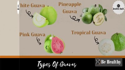 Guava Benefits and Side Effects