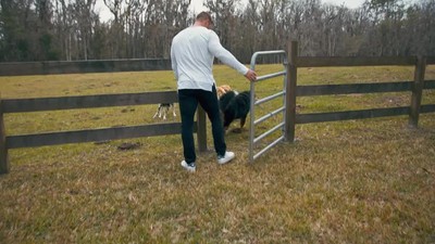 Book Trailer: MISSION POSSIBLE by Tim Tebow