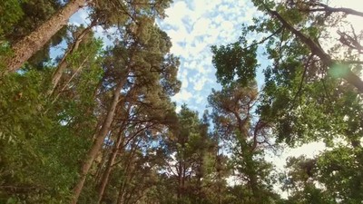 Prayer to overcome alcoholism
