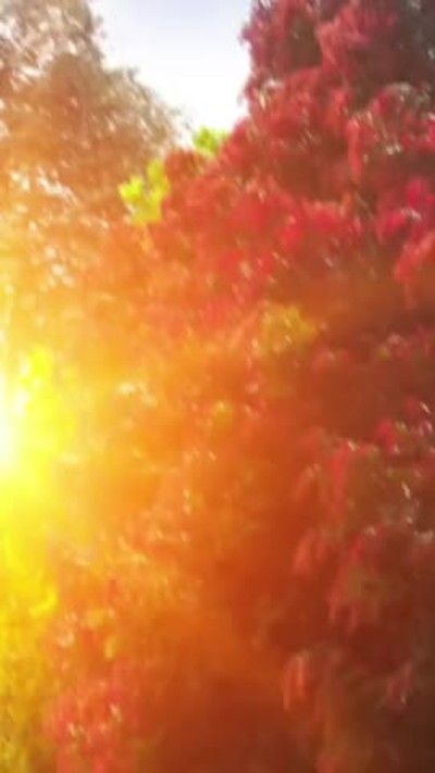 Find Groups that give Grief Healing Help Services