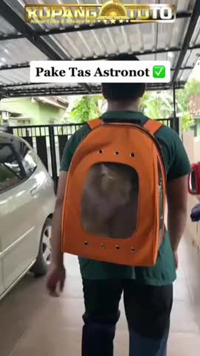jadi bersih lantai gara gara oren #kupangtoto