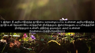ISAIAH 55