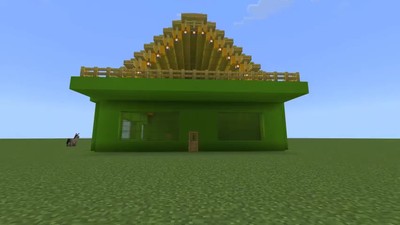 I can't Believe I Built this House in Minecraft