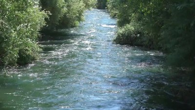 Psalm 42 - As the Deer Pants for the Water Brooks