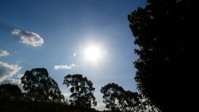 Psalm 85 - God, You Have Been Favourable to Your Land