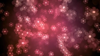 What lessons can we learn from the story of the woman caught in adultery? | Amazing Grace