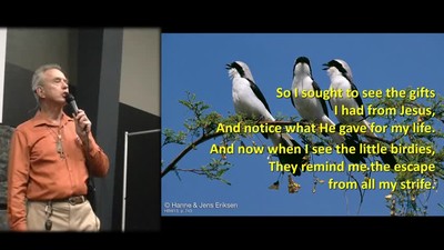 Listen To The Birdies