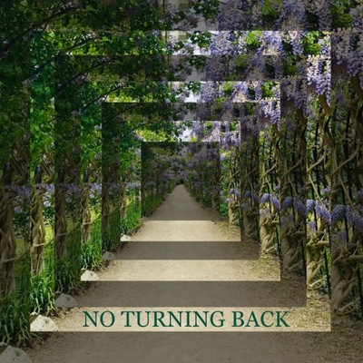 NO TURNING BACK