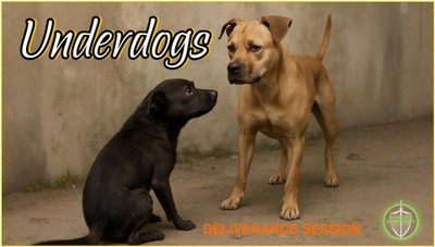 The Underdogs Deliverance Session with Michael W Smith 050925