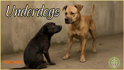 The Underdogs Teaching 050925