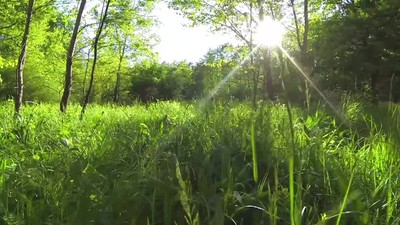 Ride (Jen's Song)
