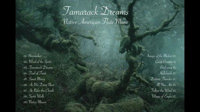 Tamarack Dreams - Native American Flute Music