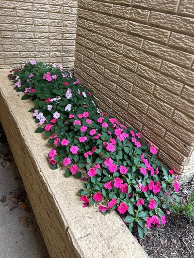 Blessing Heights Church Aug 11, 2025 A Covering