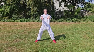 Yang 9 Tai Chi Form | Kenko Kempo Vitok Christian – Erich B. Ries