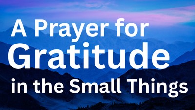 A Prayer for Gratitude in the Small Things | Your Daily Prayer
