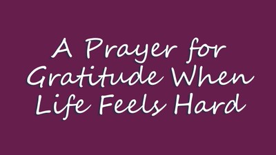 A Prayer for Gratitude When Life Feels Hard | Your Daily Prayer