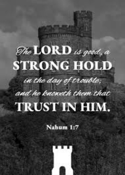 Nahum 1:7 - "The LORD is good, a stronghold in the day of trouble, and He knows those who take refuge in Him."