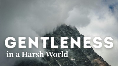 Choosing Gentleness in a Harsh World | Your Nightly Prayer