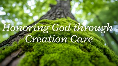 A Prayer for Honoring God through Creation Care | Your Daily Prayer
