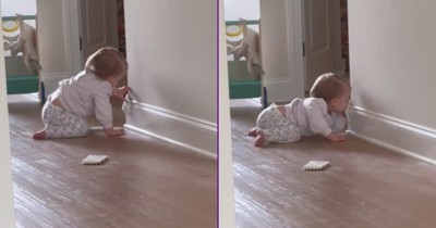 This Little One Proved No Amount of Baby Proofing Is a Match for Determination