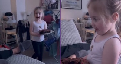 Little Girl Denies Eating Cake While Holding and Wearing the Evidence