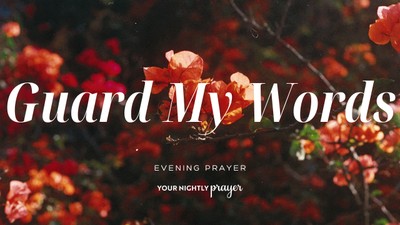 A Softer Voice in Stressful Moments | Your Nightly Prayer