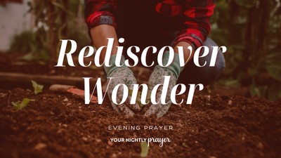 Restoring Wonder in the Middle of Responsibility | Your Nightly Prayer