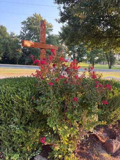 Aug 14, 2026 Raised in Church