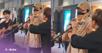 Cat Joins Street Performers And Sings The Song's Lyrics Perfectly